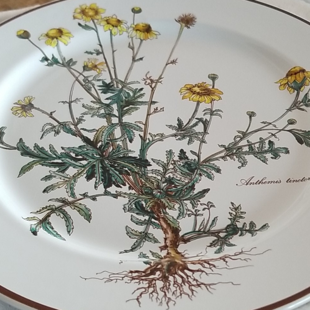 VILLEROY & BOCH
Botanica Porcelain Dinner Plate - Picture 4 of 11